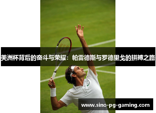 美洲杯背后的奋斗与荣耀：帕雷德斯与罗德里戈的拼搏之路