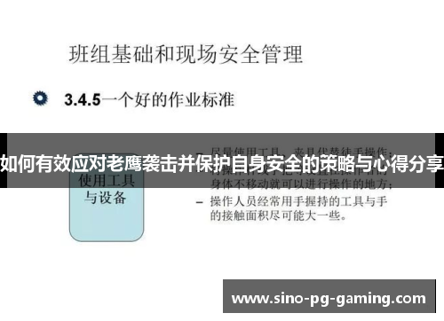 如何有效应对老鹰袭击并保护自身安全的策略与心得分享