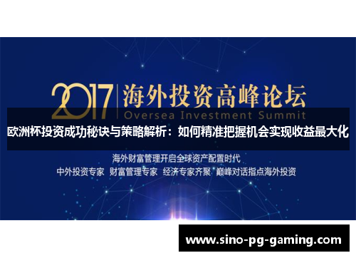 欧洲杯投资成功秘诀与策略解析：如何精准把握机会实现收益最大化